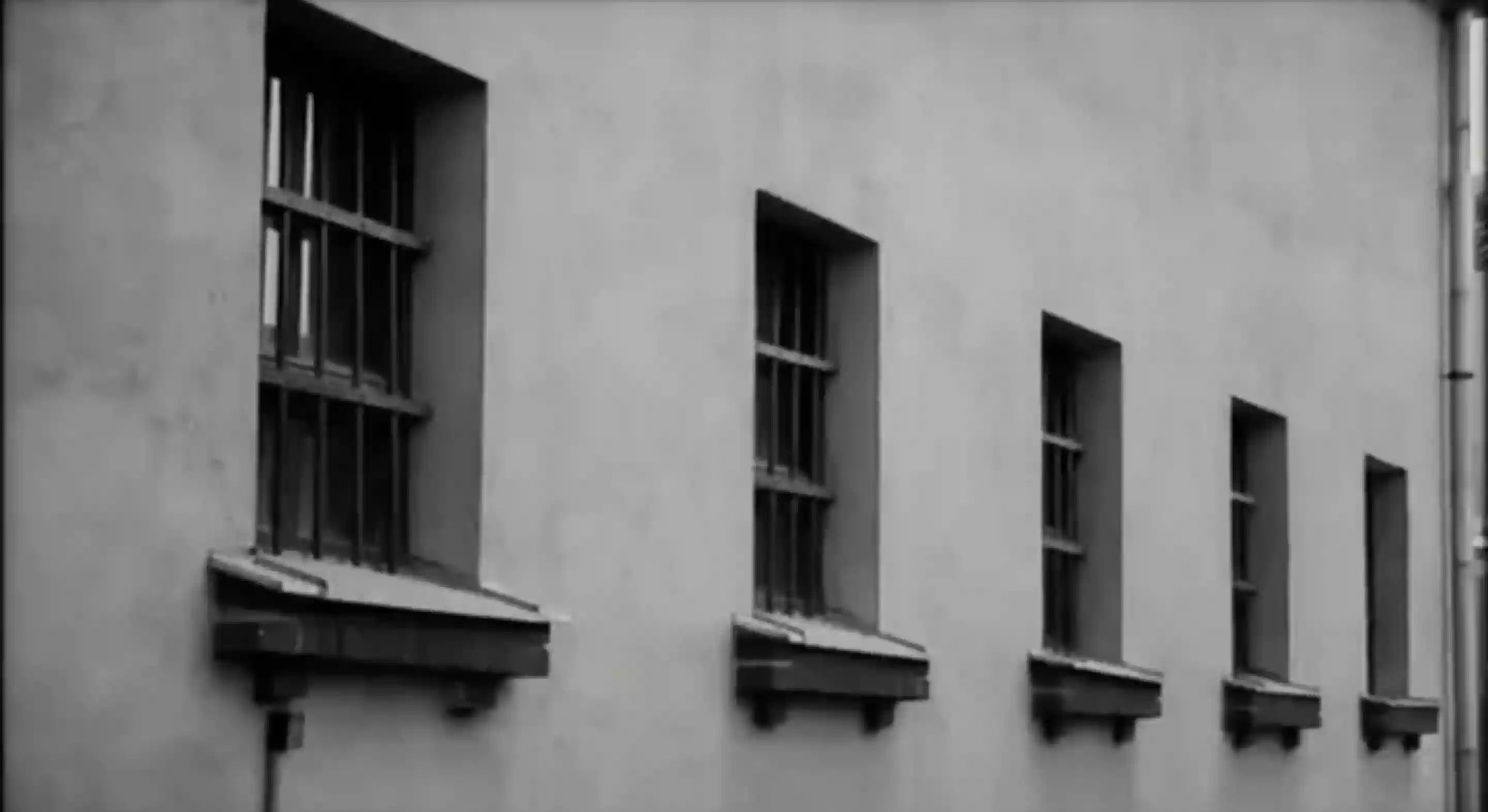 Window Barriers